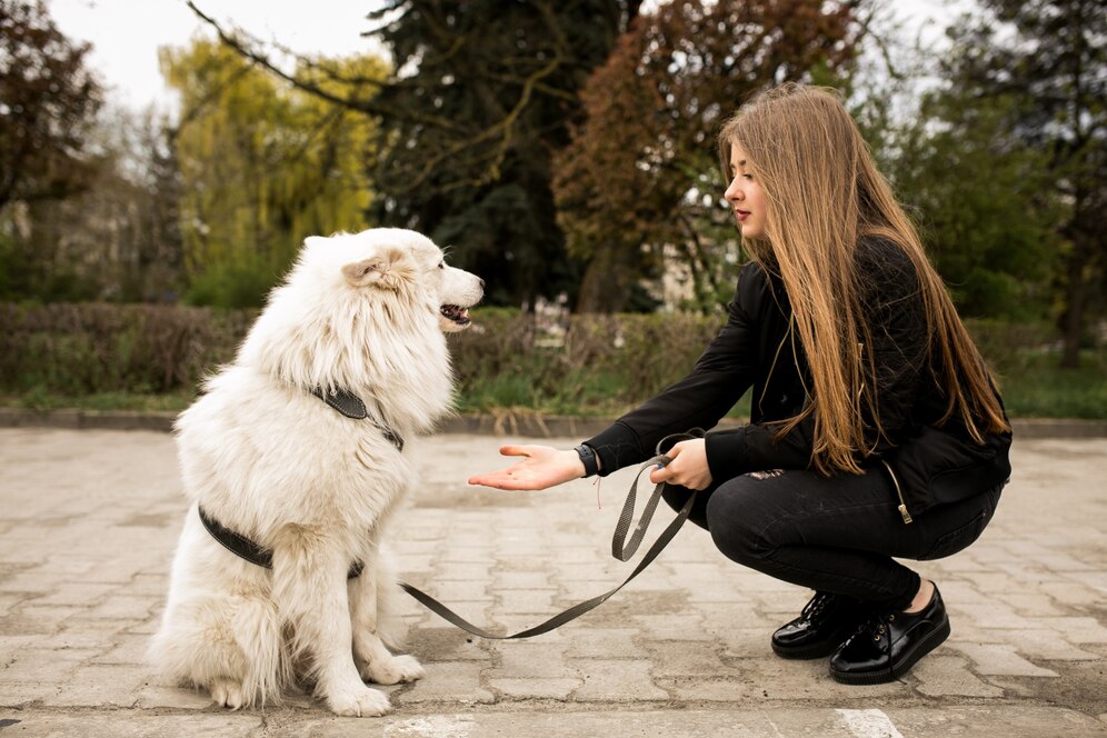 entrenamiento de obediencia