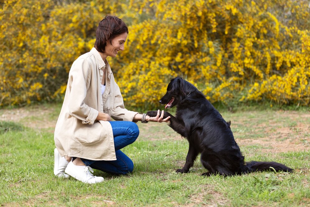 técnicas de entrenamiento para perros