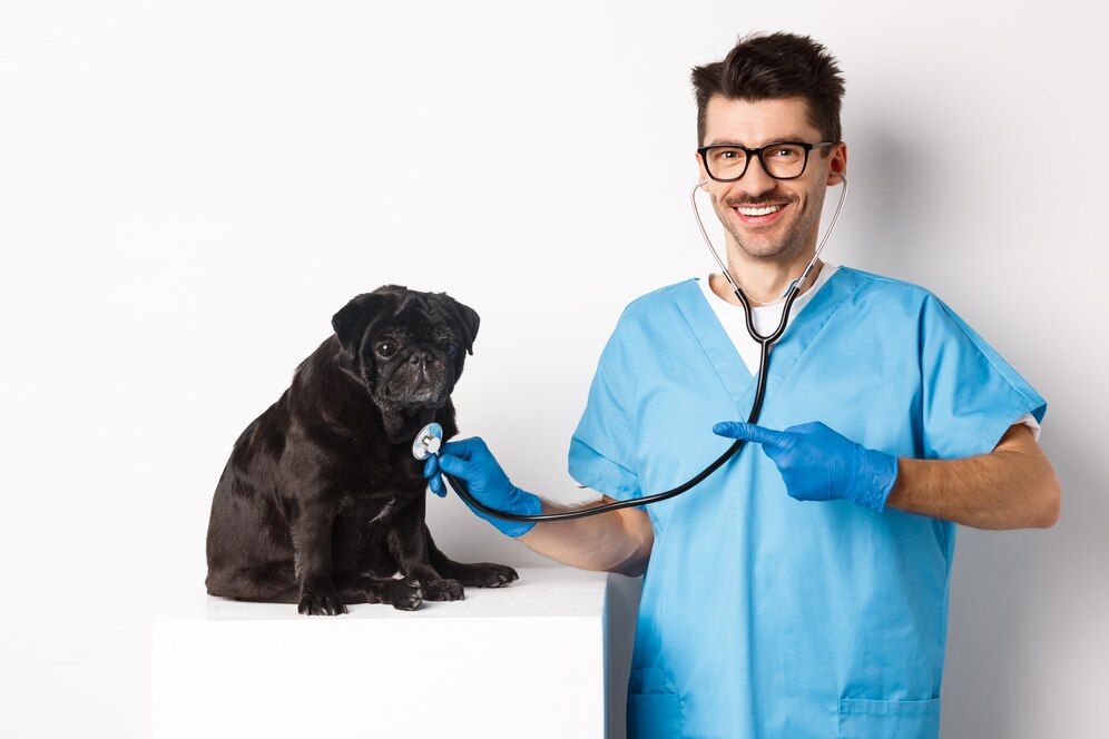 prevencion de enfermedades en mascotas