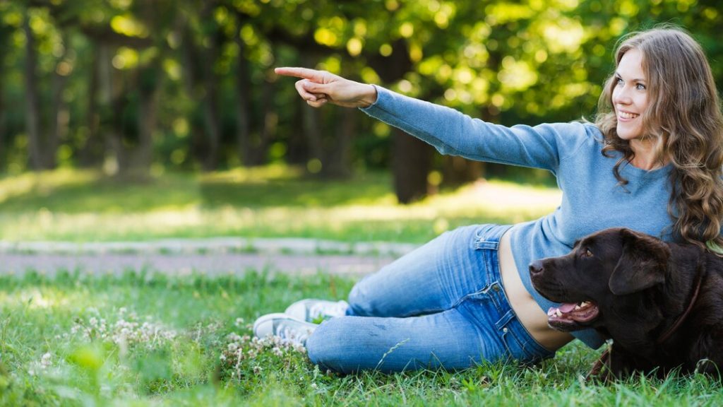 adiestramiento positivo
