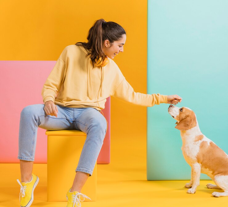 Educación canina