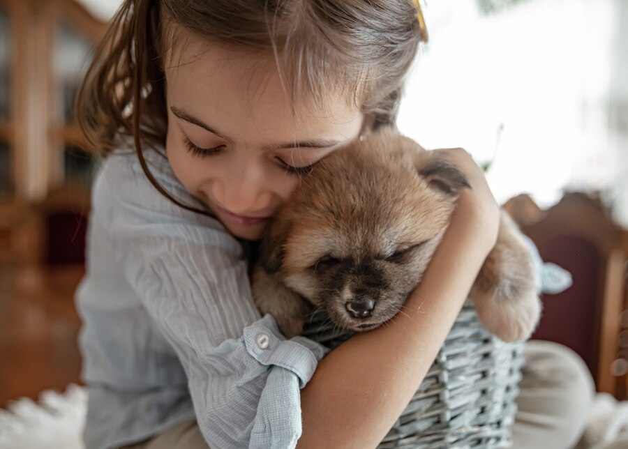 adopción animal