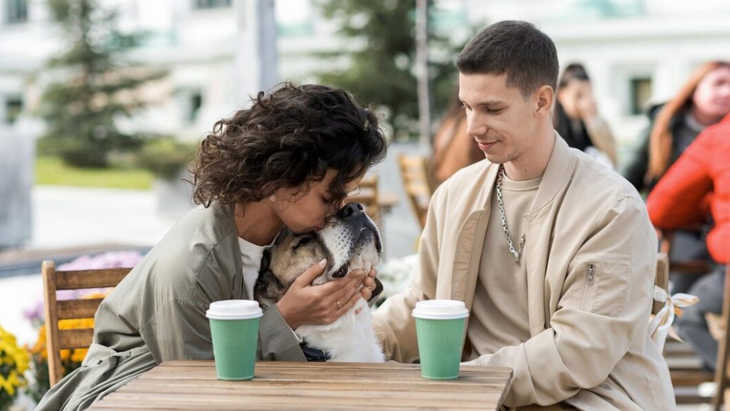 Socialización de mascotas