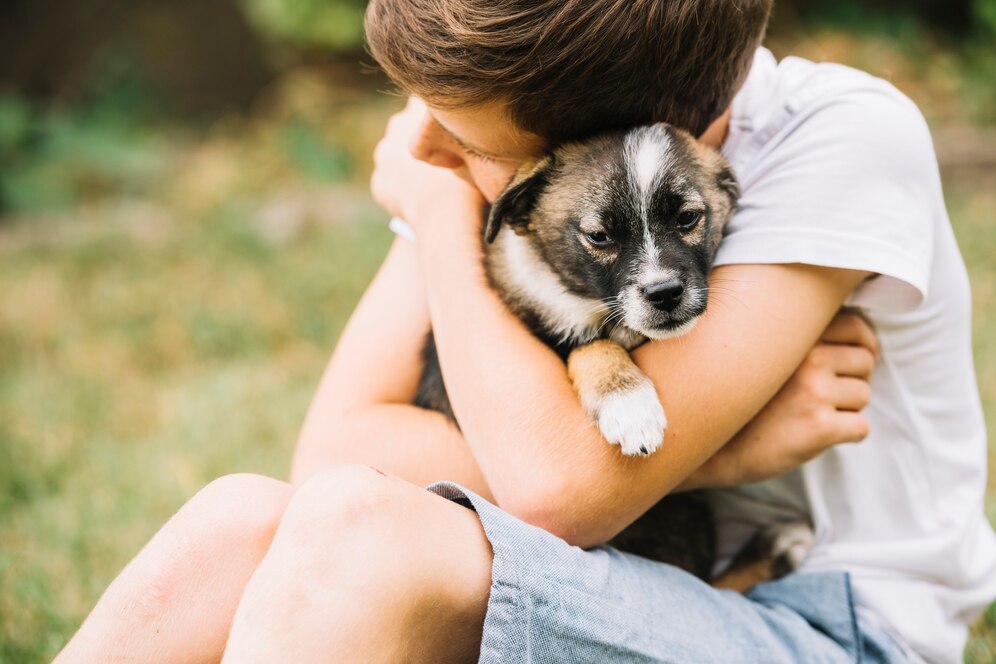 adopción cachorros
