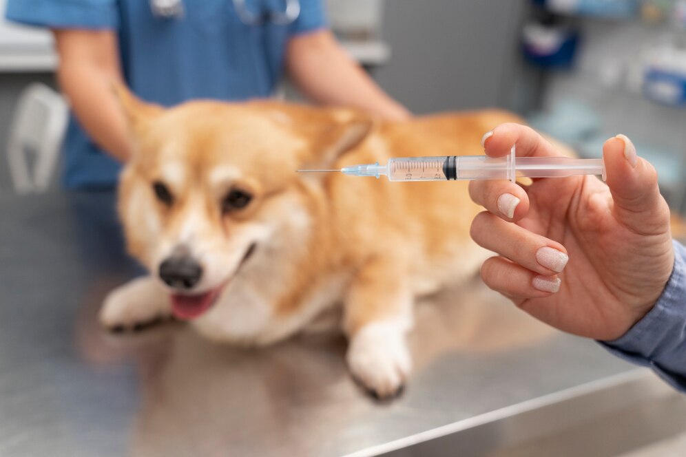 vacunas para mascotas